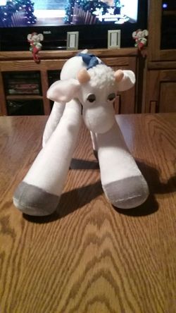 Tall feet Cow. White and black with blue ribbon bandanna