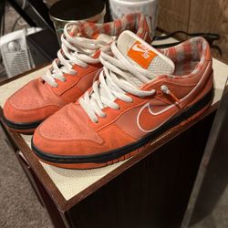 Nike SB Orange Lobsters 