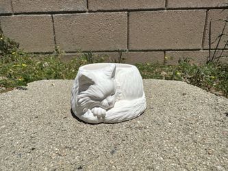 Cat Plaster Casts