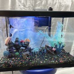 30 Gal Fish Tank 