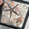 Connie's Constant Crystal's