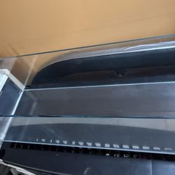 20 gallon tank