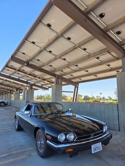1984 Jaguar XJS