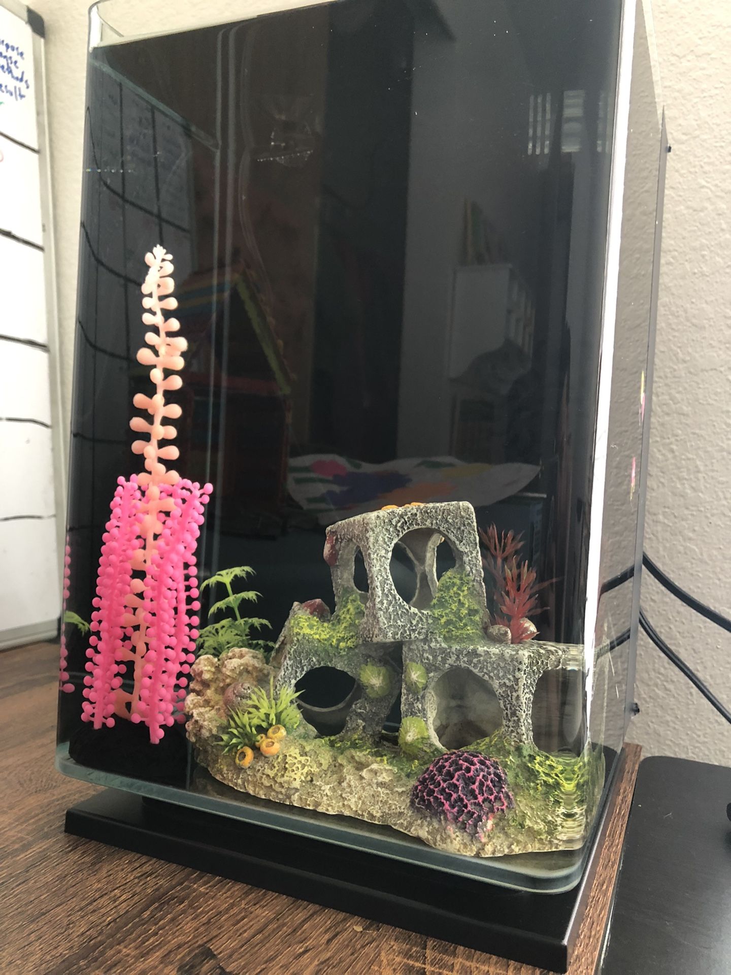 Fishbowl Glofish Tank 5 Gallons