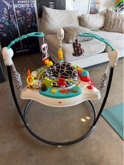 Baby Bouncer