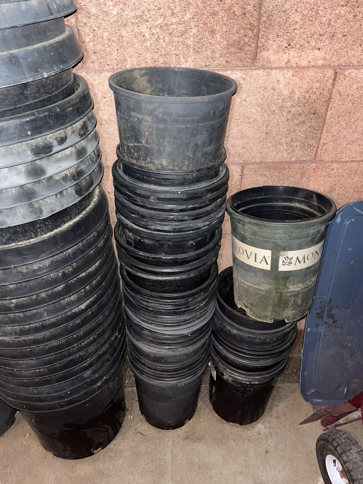 Plastic Planters Buckets (Many!) Available