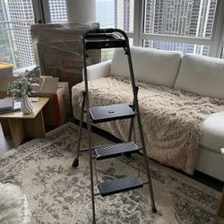 5ft Painting Ladder