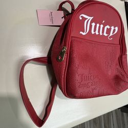 Juicy Couture Bag 