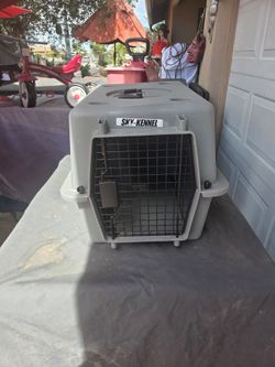Petmate Sky Kennel, Gray ,pet carrier,  small