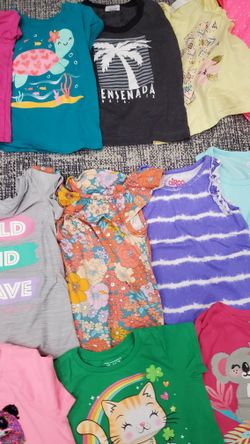 Huge online lot of size 4T girls clothing