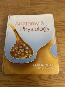 Anatomy & Physiology 