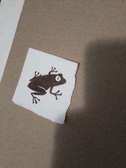 Hand drawn reference frog