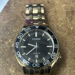Citizen Eco Drive Layaway Today $14 Down 