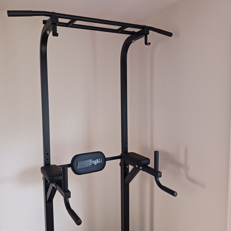 Pull-up & Dip Station