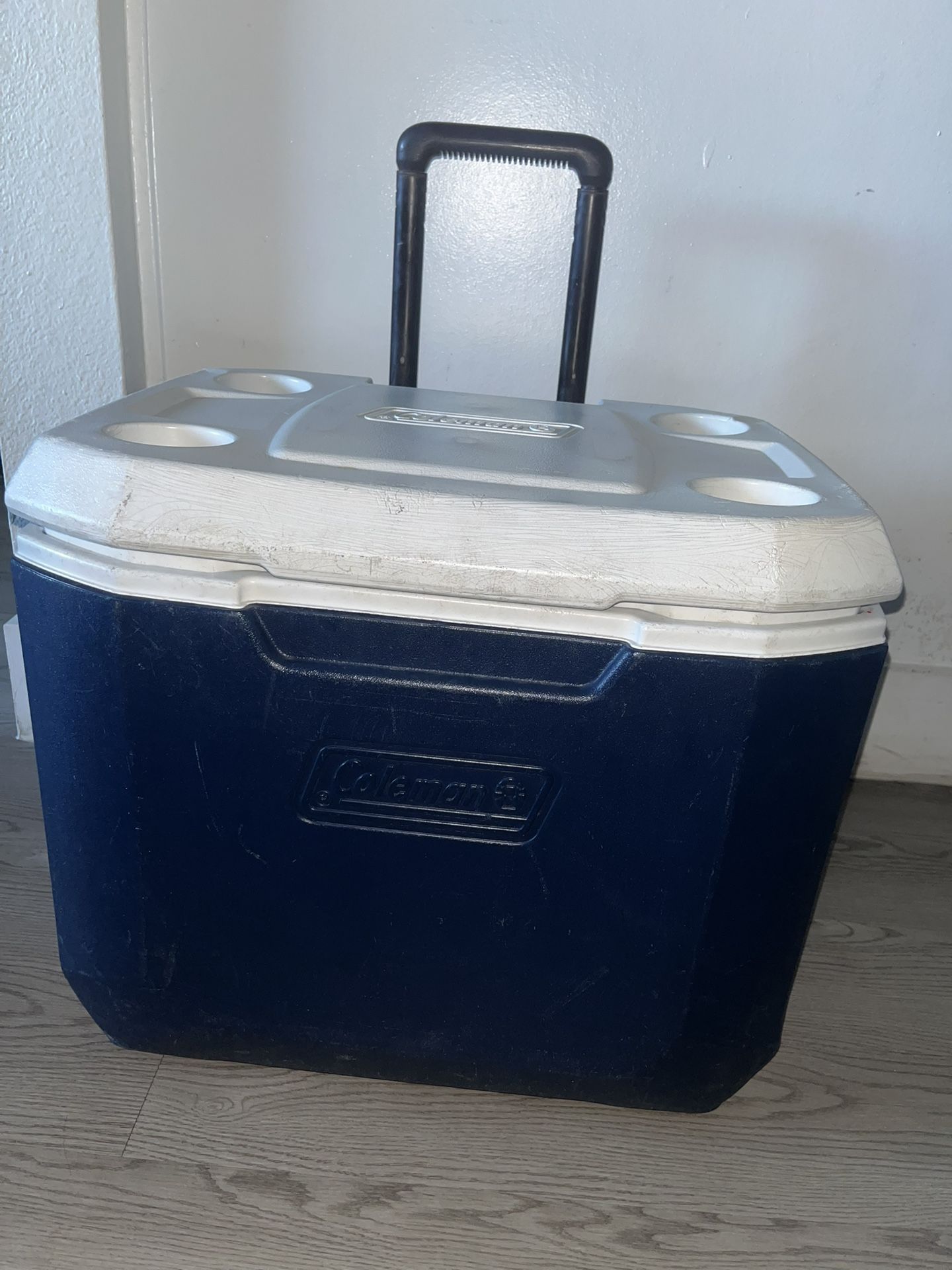 Coleman Cooler