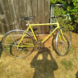 1973 Schwinn Varsity 