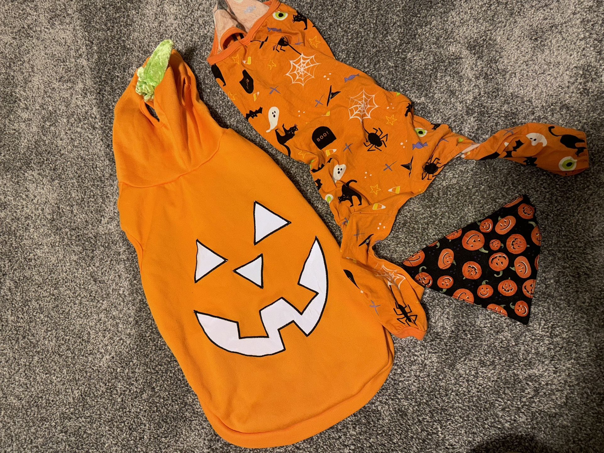 Halloween Dog Items
