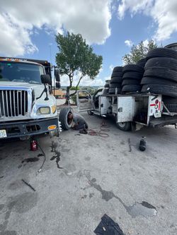 Bobcat Y Camion
