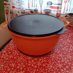 Big Tupperware Bowl 🥣 