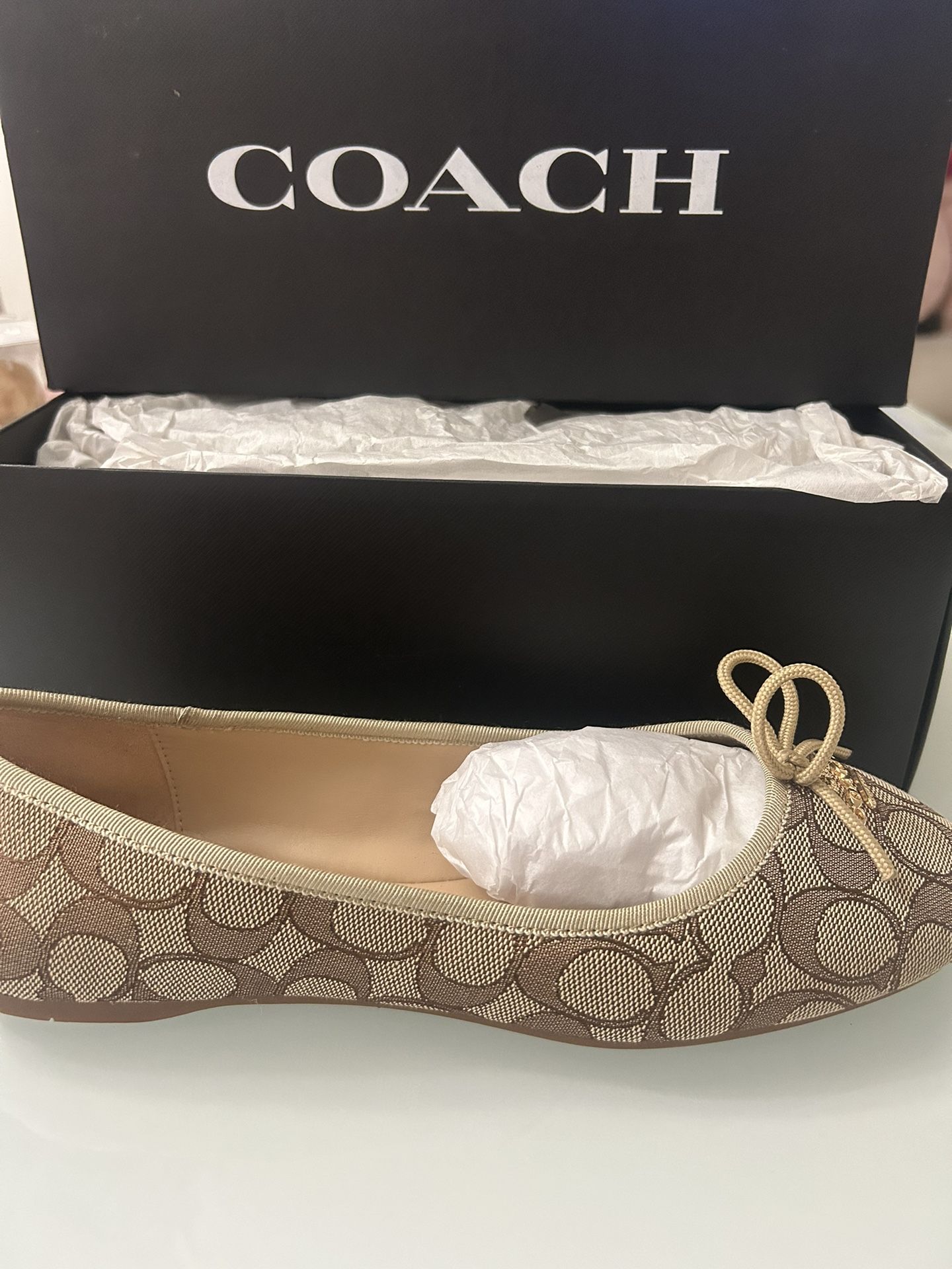Coach Ballet Flats.