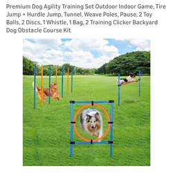 Dog agility training set
