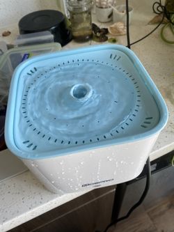 Cat Fountain 