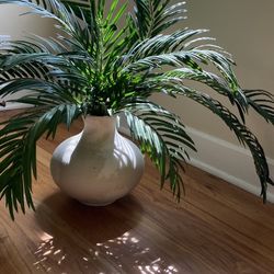 Beautiful palm plant in vase 
