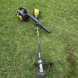 Ryobi Weedeater And Pouland Pro Blower