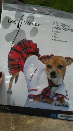 Dog costume school girl. Size medium