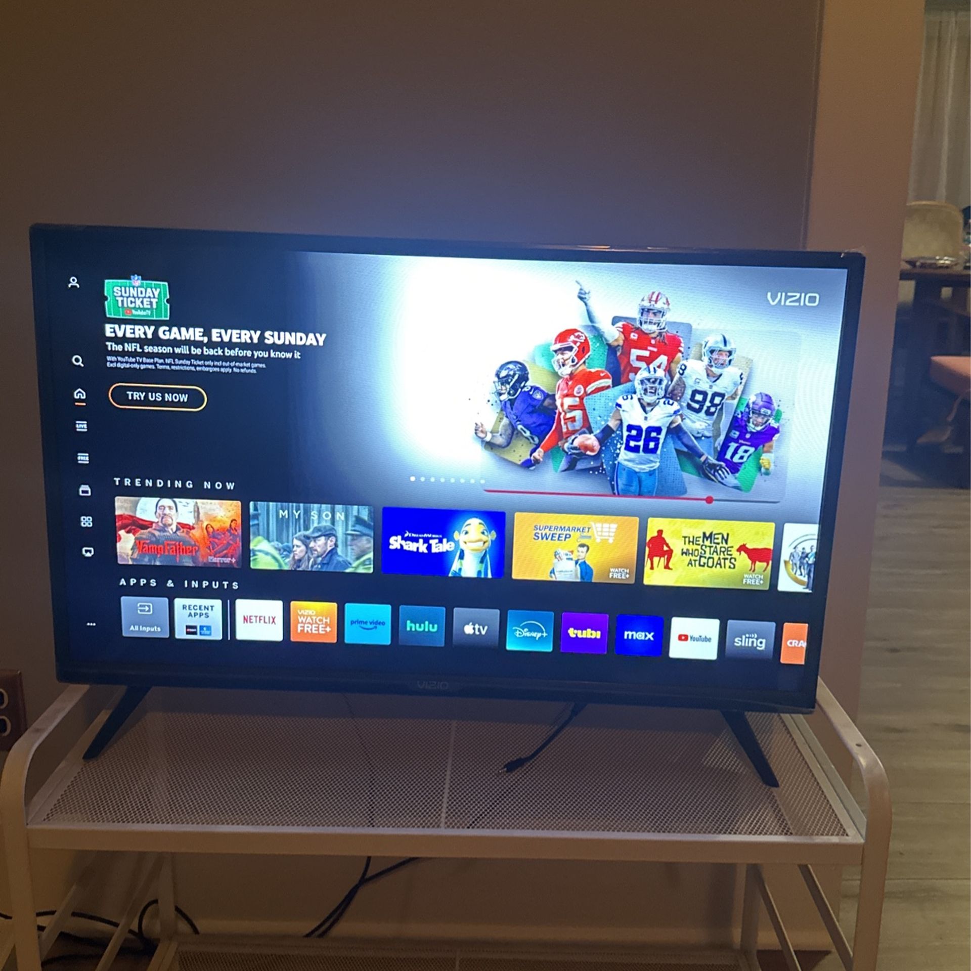 32 Inch Vizio TV