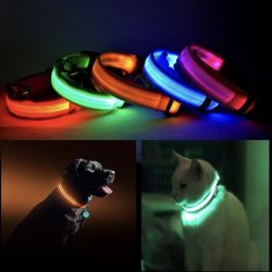 Safety Collar 