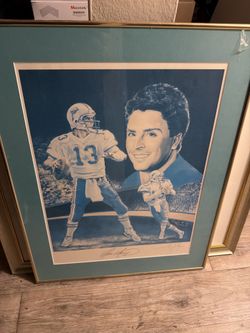 Dan Marino Photo