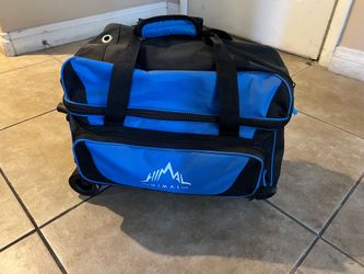 Brunswick bowling balls and roller carry bag