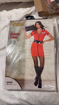 Halloween costume women large