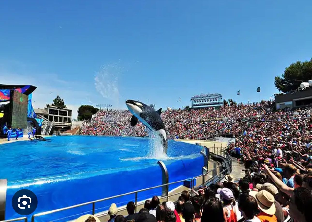 SeaWorld Tickets