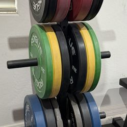 Rogue Bumper Plates 