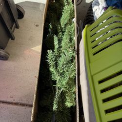 6 Foot Christmas Tree
