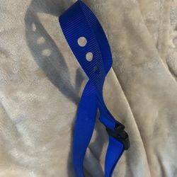 Xlarge Dog Collar Blue  