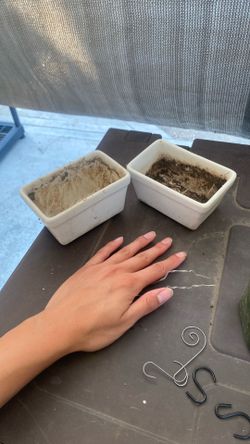 Free 2 Small Ceramic Pot