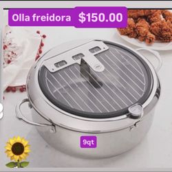 Olla Freidora 9 Qt Acero Inoxidable Prepara Pescados Pollos Tacos Flautas Botanas $150.00 Princess House Ventas Finales 