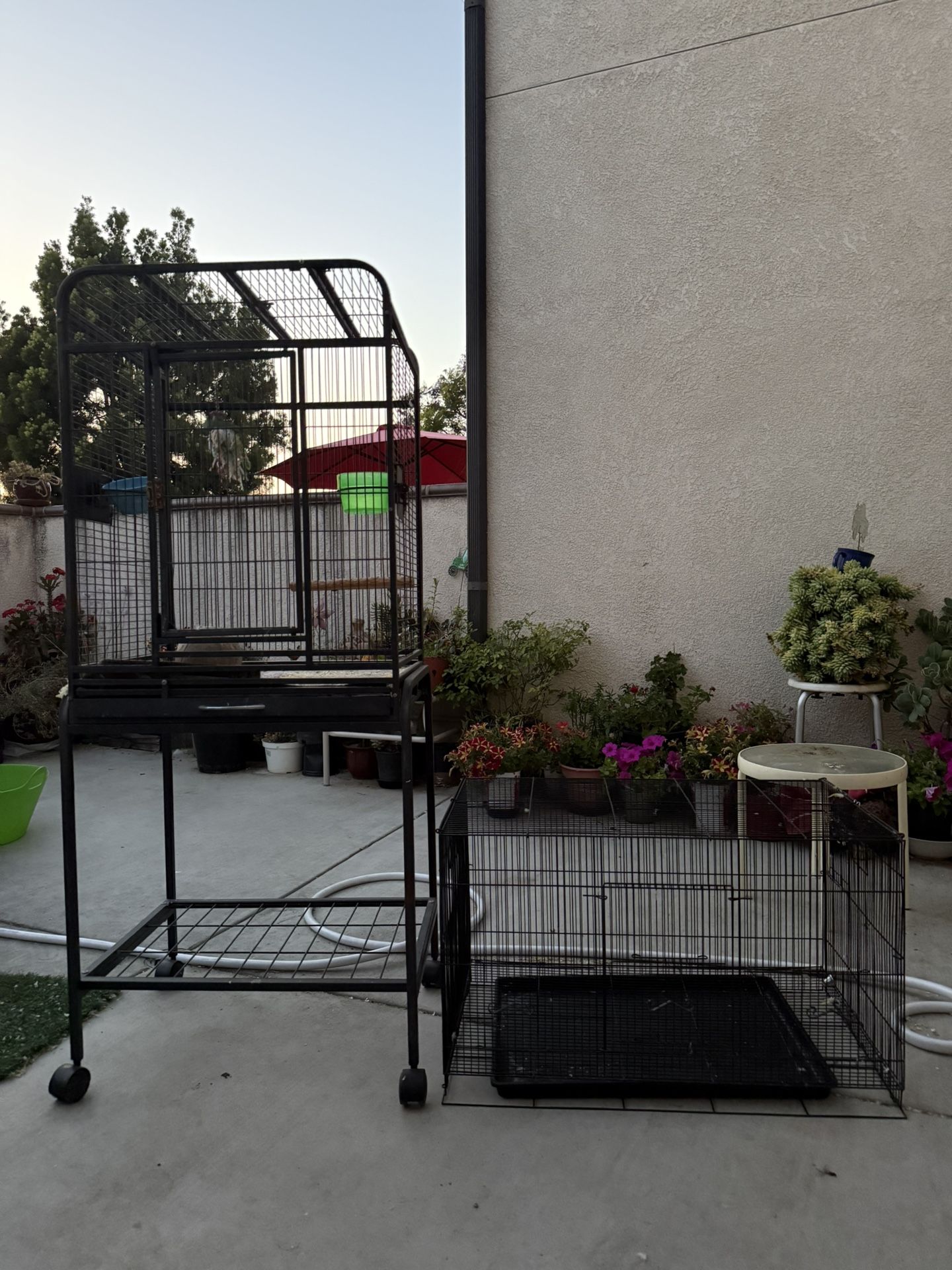 Bird Cages