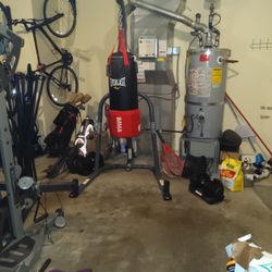 Everlast Punching Bag And Mount