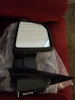 F150 drivers mirror