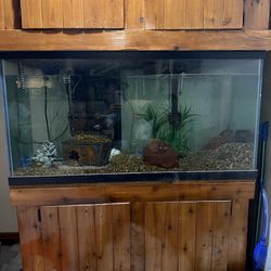 Aquarium