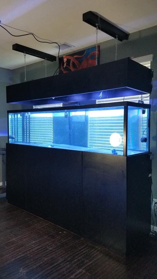 240 gallon (8x2x2)aquarium