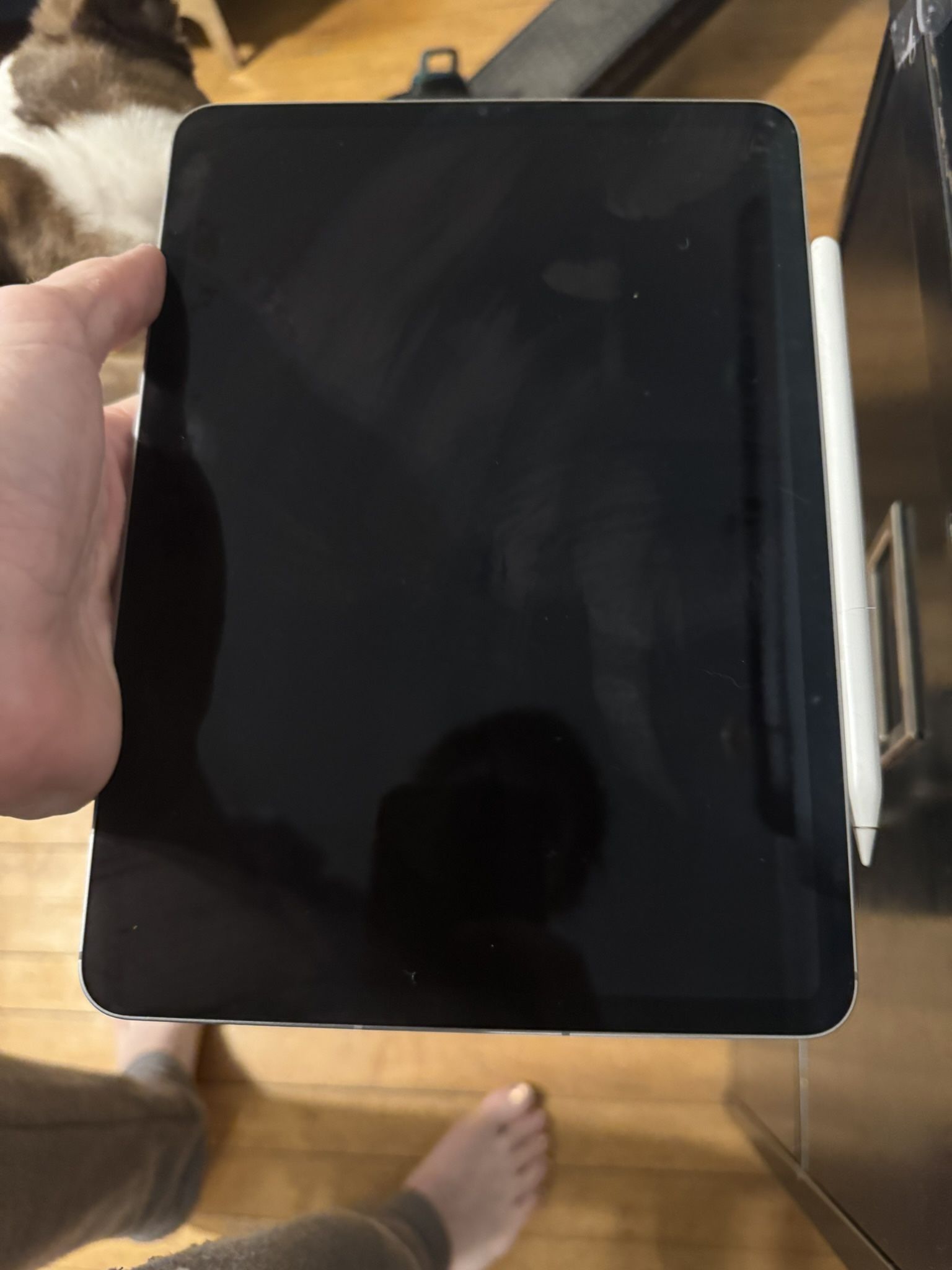iPad Pro 4th Gen 11 Inch