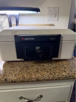 Sentrysafe  fireproof