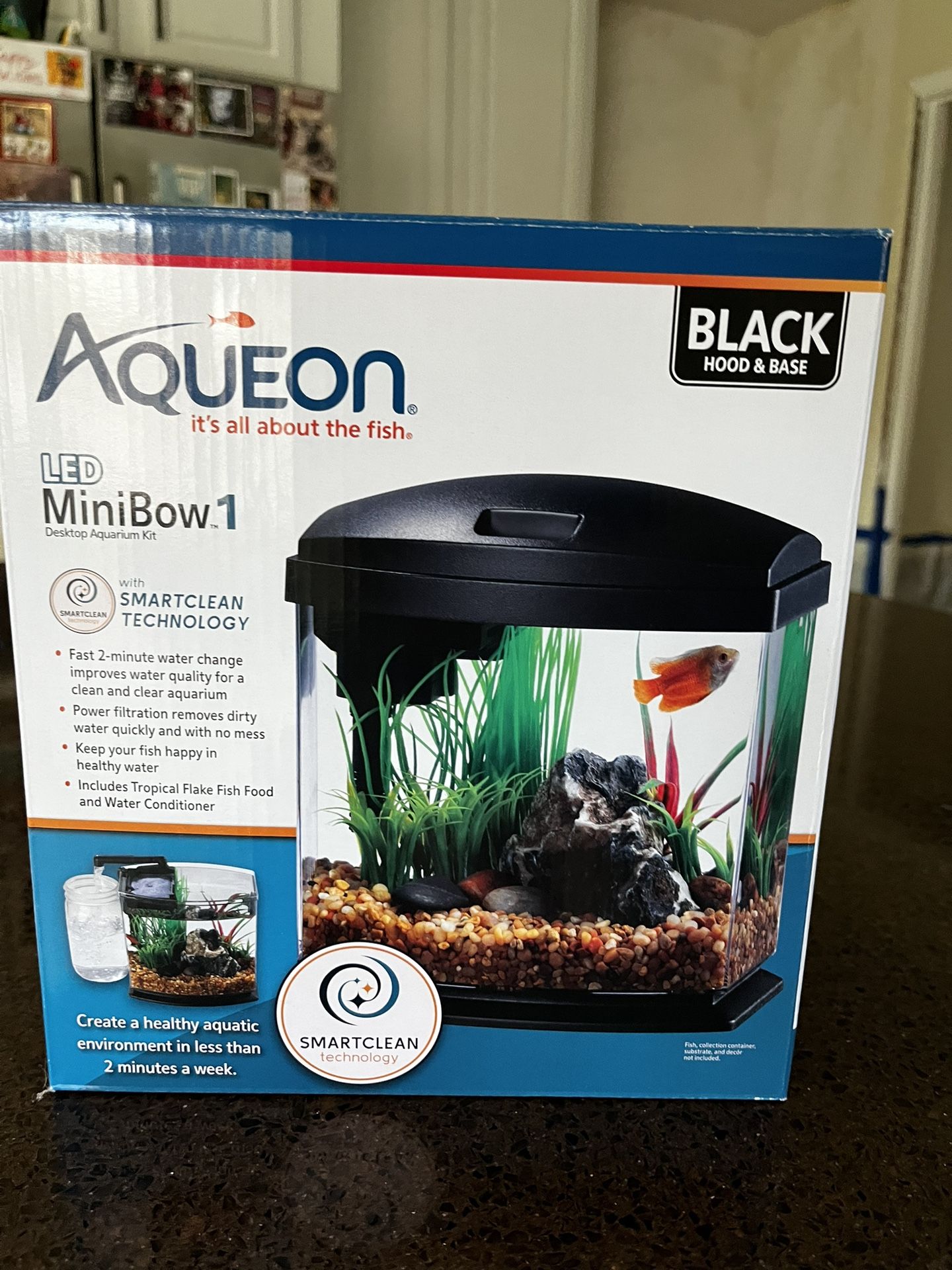Mini Bowl Fish Tank