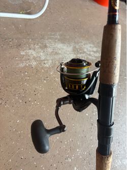 Diawa bg 4000