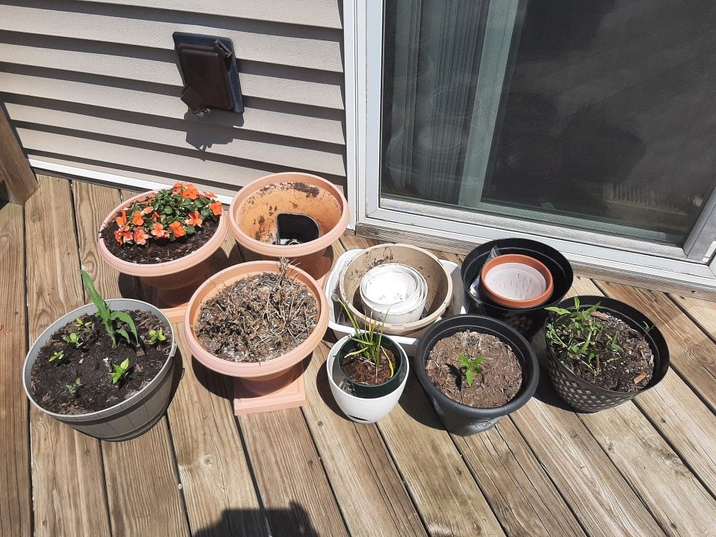 Pots For Sale: $2 Each
